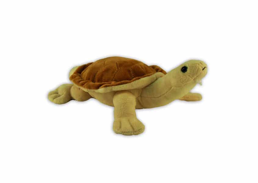 Mary River turtle plush