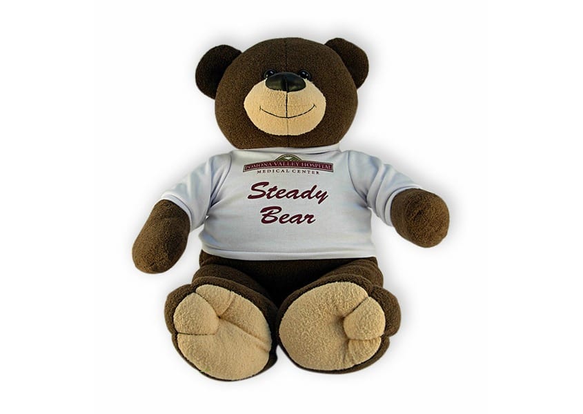 steady bear brown teddy bear